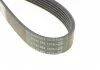 Ремень поликлин. (пр-во) DAYCO 6PK1082 (фото 3)