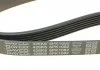 Ремень поликлин. (пр-во) DAYCO 6PK1082 (фото 4)