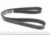 Ремень поликлиновый (пр-во) DAYCO 6PK1050S (фото 3)
