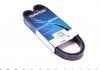 Ремень поликлин. (пр-во) DAYCO 6PK1030 (фото 1)