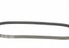 Ремень поликлиновый (пр-во) DAYCO 4PK903EE (фото 3)