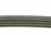 Ремень поликлин. (пр-во) DAYCO 4PK922EE (фото 2)