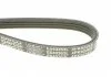 Ремень поликлин. (пр-во) DAYCO 4PK922EE (фото 4)