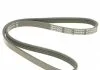 Ремень поликлин. (пр-во) DAYCO 4PK922EE (фото 5)