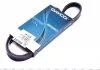 Ремень поликлиновый (пр-во) DAYCO 4PK1025 (фото 1)