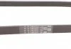 Ремень поликлиновой (Пр-во ContiTech) CONTITECH 4PK805 (фото 3)