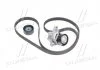 Комплект ремня ГРМ (Пр-во) SKF VKMA36209
