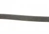 (7884-22808) Комплект ременів MICRO V KIT GATES K066PK1195 (фото 3)