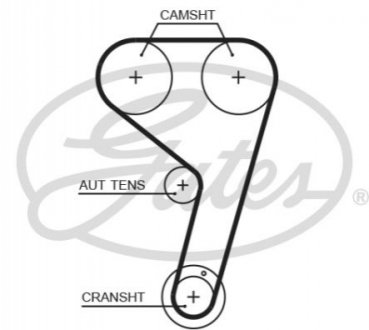Пас ГРМ з довжиною кола понад 60 см, але не більш як 150см GATES T354HOB