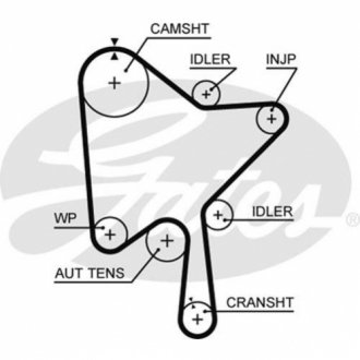 Пас ГРМ з довжиною кола понад 60 см, але не більш як 150см GATES 5686XS