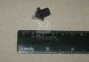 Лампа розжарювання BAX8,3/1,35 Black 12V 1.2W (вир-во Philips) PHILIPS 12597CP (фото 2)