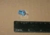 Лампа розжарювання BAX8,5d/1,5Blue12V 1.2W BAX8,5d/1,5 blue (вир-во Philips) PHILIPS 12603CP (фото 2)
