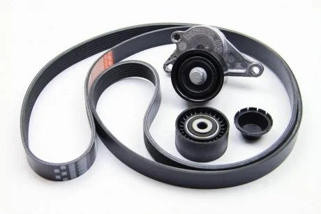 Комплект пасу RENAULT 117207736R