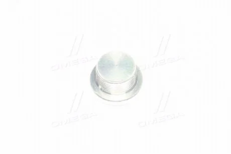 Пробка кпп (олійна) (вир-во SsangYong) SSANGYONG 3111308001
