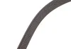 Ремень поликлиновый (пр-во) DAYCO 6PK2576S (фото 3)