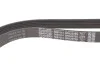 Ремень поликлиновый (пр-во) DAYCO 6PK2576S (фото 4)