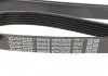 Ремень поликлин. (пр-во) DAYCO 6PK2525 (фото 3)