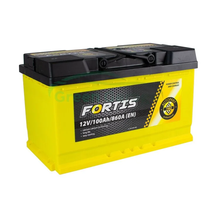 100 Ah/12V FORTIS (0) Euro_L4 короткий Fortis FRT100L400 (фото 1)