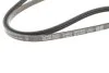 Пасок поліклиновий DAYCO 3PK960 (фото 4)