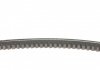 11,0X528 Ремінь (клиновий) CONTI SF CONTITECH 11,0X528Ld (фото 2)