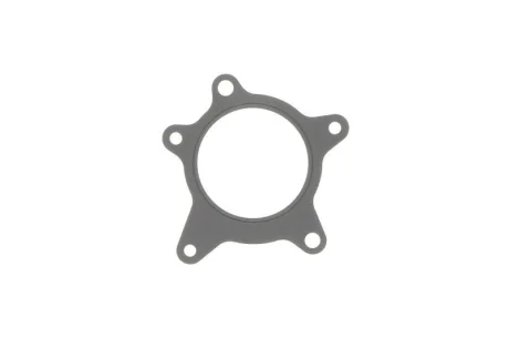 Прокладка, водяной насос Hyundai/Kia/Mobis 251242B000