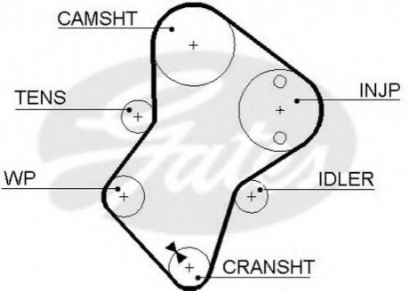 (8595-15049) Ремінь ГРМ GATES 5049