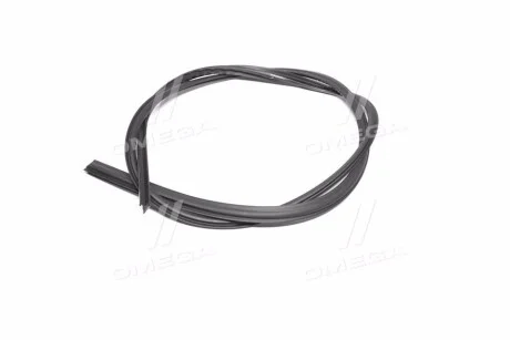Уплотнитель стекла general motors GM 96543951