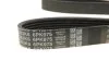 Натяг паса з елементами монтажу DAYCO KPV333 (фото 5)