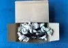 Амортизатор подв. Chevrolet Epica задн. лев. (пр-во) PARTS-MALL PJCRL002 (фото 4)