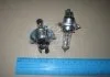 Лампа розжарювання H4 12V 60/55W P43t-38 Vision +30 (2шт. комп.) (вир-во Philips) PHILIPS 12342PRC2 (фото 2)
