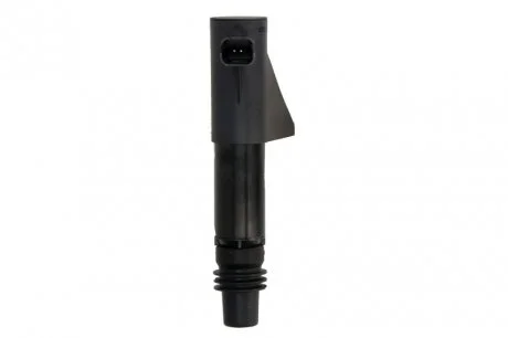 Катушка системи запалювання DELPHI GN1024012B1