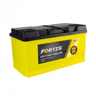110 Ah/12V FORTIS (0) Euro Fortis FRT11000