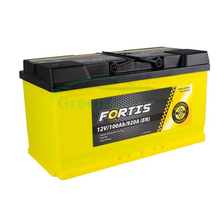 100 Ah/12V FORTIS (0) Euro Fortis FRT10000 (фото 1)