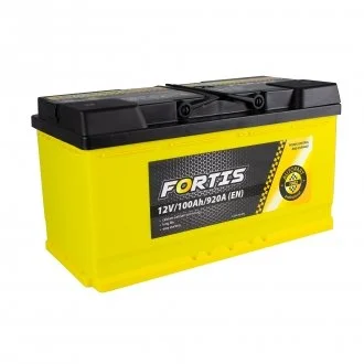 100 Ah/12V FORTIS (0) Euro Fortis FRT10000