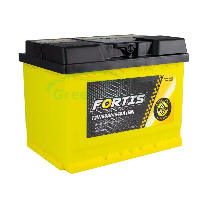 60 Ah/12V FORTIS (0) Euro Fortis FRT6000 (фото 1)