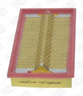(Champion) CHAMPION CAF100516P