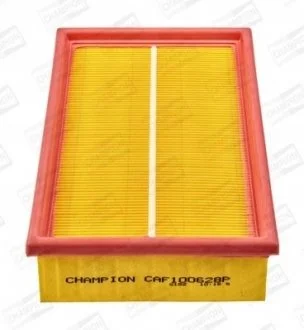 (Champion) CHAMPION CAF100628P