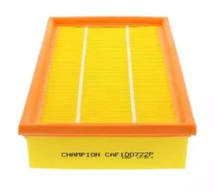 (Champion) CHAMPION CAF100722P