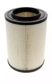 (Champion) CHAMPION CAF100147R