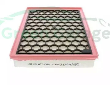 (Champion) CHAMPION CAF100839P (фото 1)