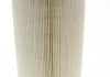 (Champion) CHAMPION CAF100186R (фото 2)