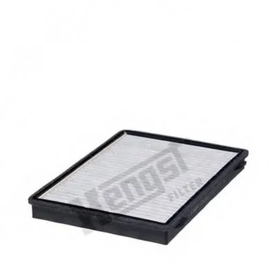HENGST E2955LC (фото 1)