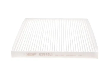 HENGST E2915LI