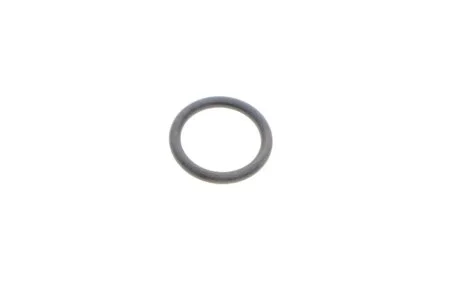 Кольцо VAG WHT006124