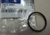 Кільце ущільнювальне Hyundai/Kia/Mobis 256232B000 (фото 1)