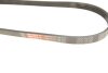 Поликлиновые ремни Micro-V StretchFit GATES 4PK790SF (фото 4)