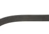 Поликлиновые ремни Micro-V (Пр-во Gates) GATES 6PK2870 (фото 3)