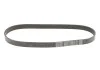 Ремень поликлиновый (пр-во) DAYCO 6PK905S (фото 1)