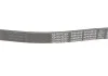 Ремень поликлиновый (пр-во) DAYCO 6PK905S (фото 4)