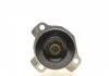 Водяна помпа Nissan/Opel/Renault Master 2,3dci 10- RENAULT 210105857R (фото 6)